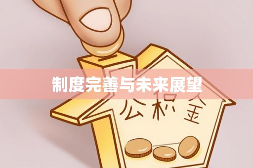 顺德制度完善与未来展望