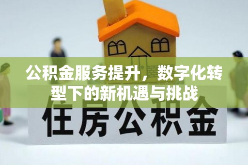 顺德公积金服务提升，数字化转型下的新机遇与挑战