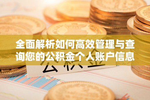 顺德全面解析如何高效管理与查询您的公积金个人账户信息