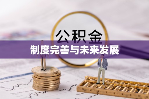 顺德制度完善与未来发展