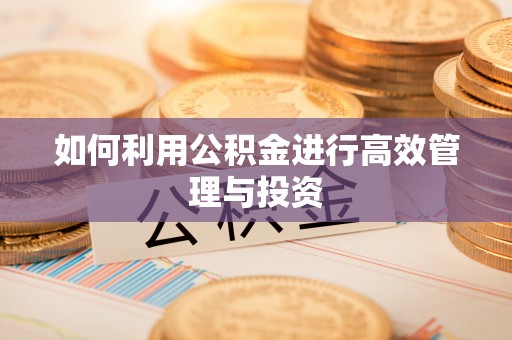 顺德如何利用公积金进行高效管理与投资