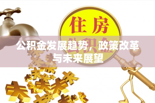 顺德公积金发展趋势，政策改革与未来展望
