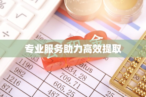 顺德专业服务助力高效提取